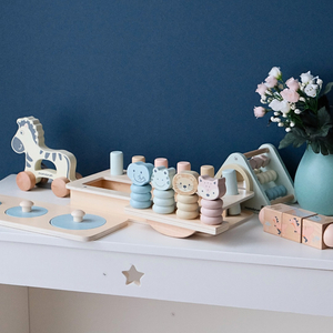 Montessori mänguasjakomplekt beebile 19-24 kuud