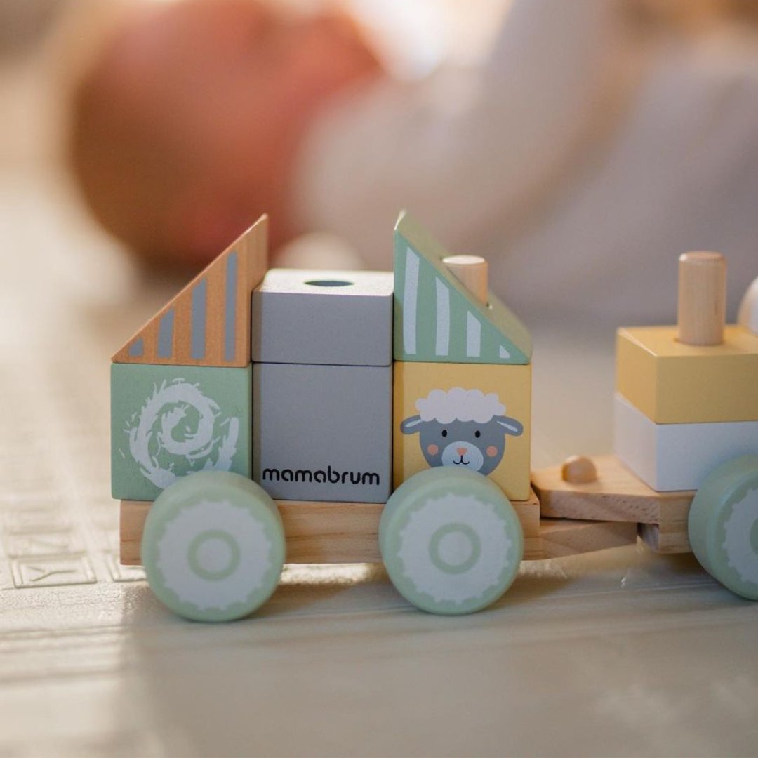 Puidust rong koos klotsidega poisile - Talu