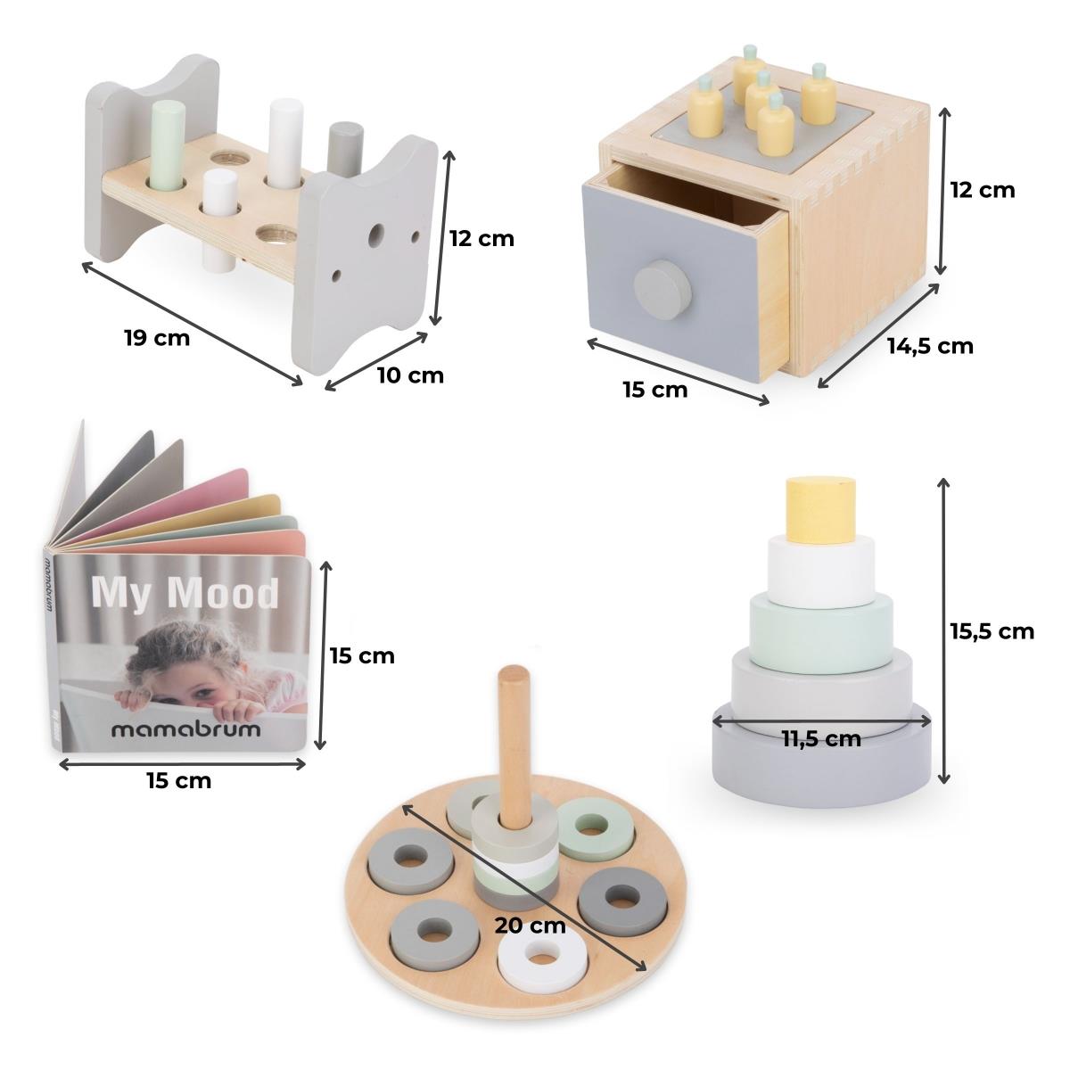 Montessori õppekast väikelastele - 6 mänguasja