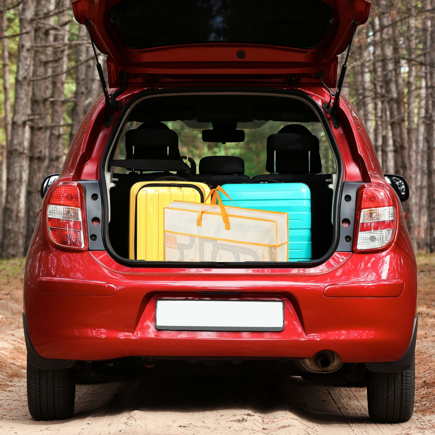 Kahepoolne kokkupandav vahtmatt 180 x 120 x 1 cm - Magic Forest/Autumn Streets - boho