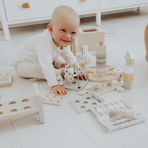 Montessori õppekast väikelastele - 6 mänguasja