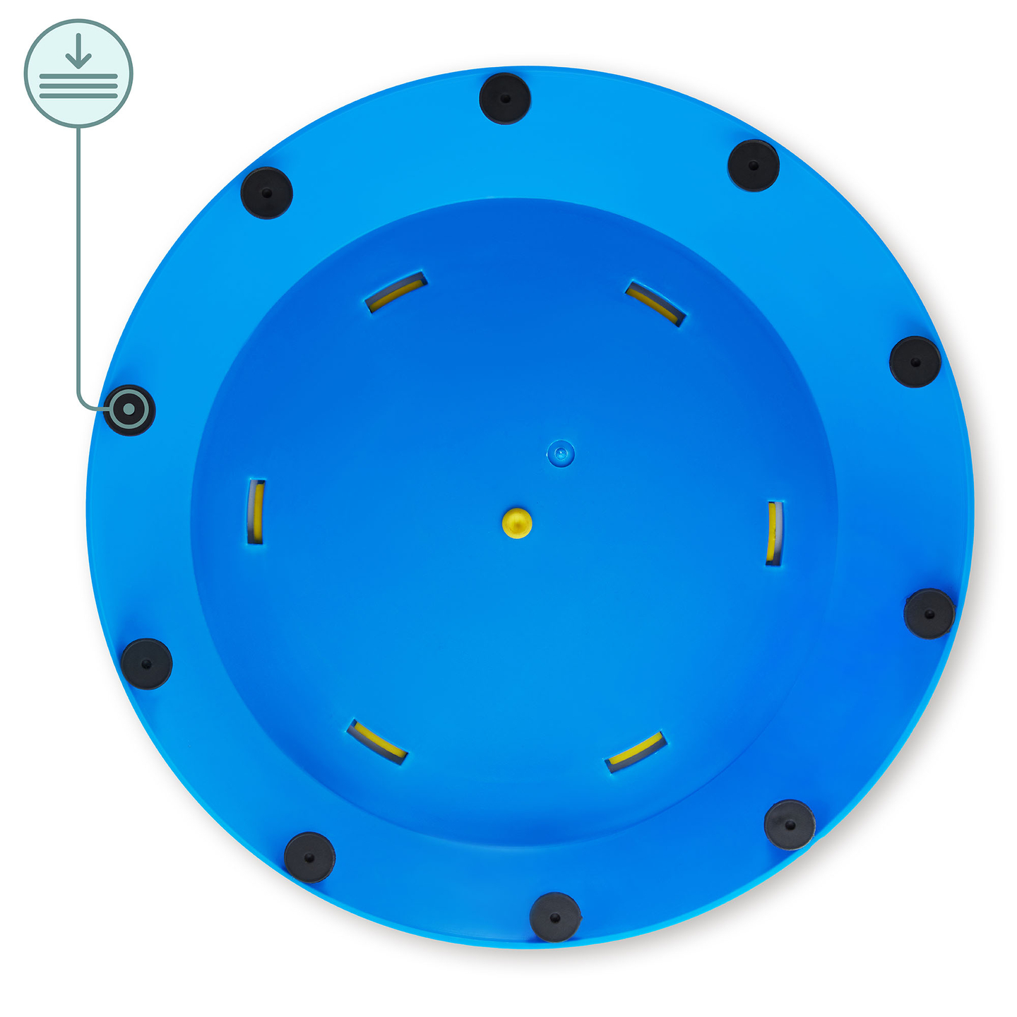 Sensoorne rada lastele - värviline kilpkonn