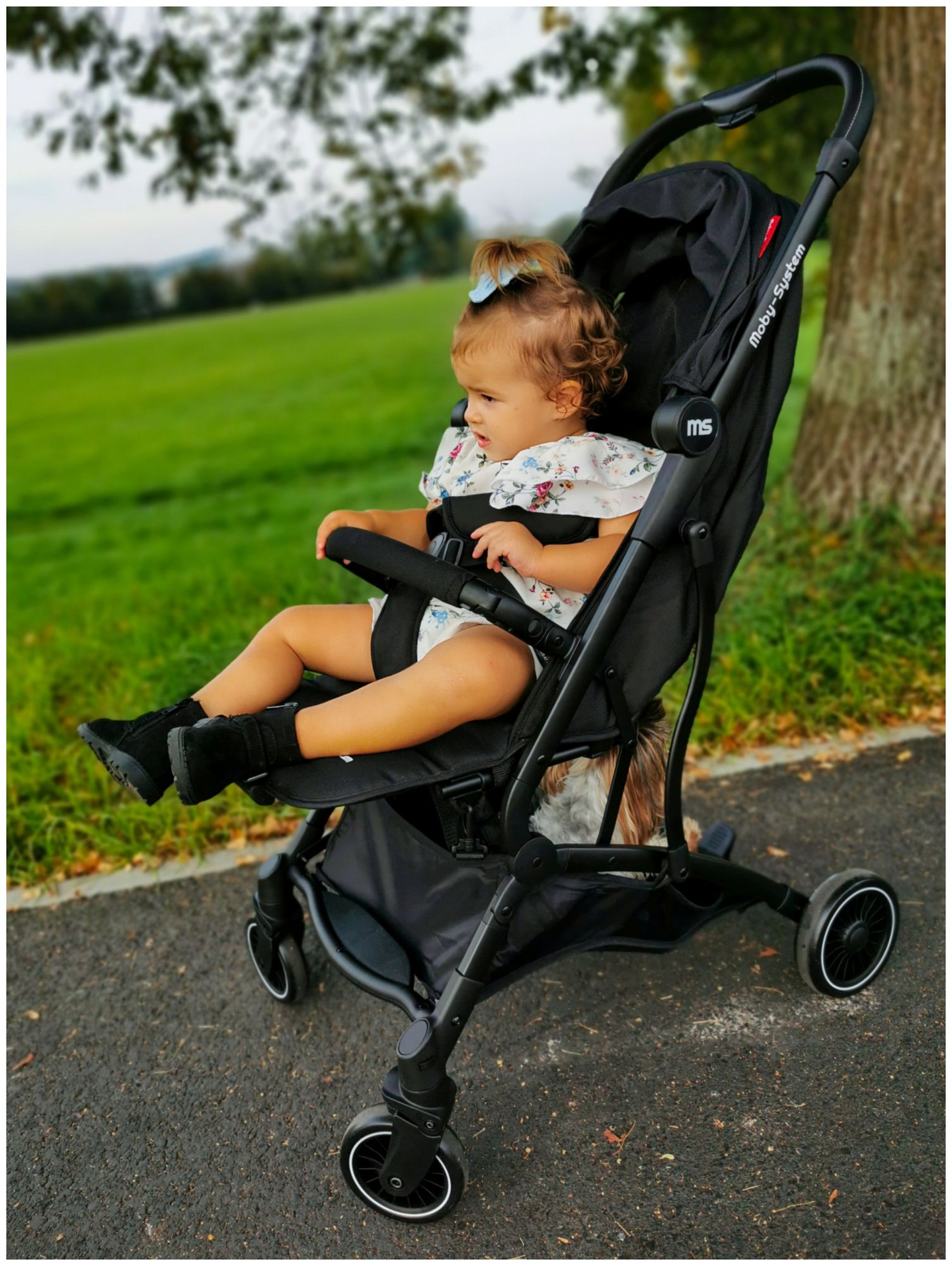 Moby-System lapsevanker LENA