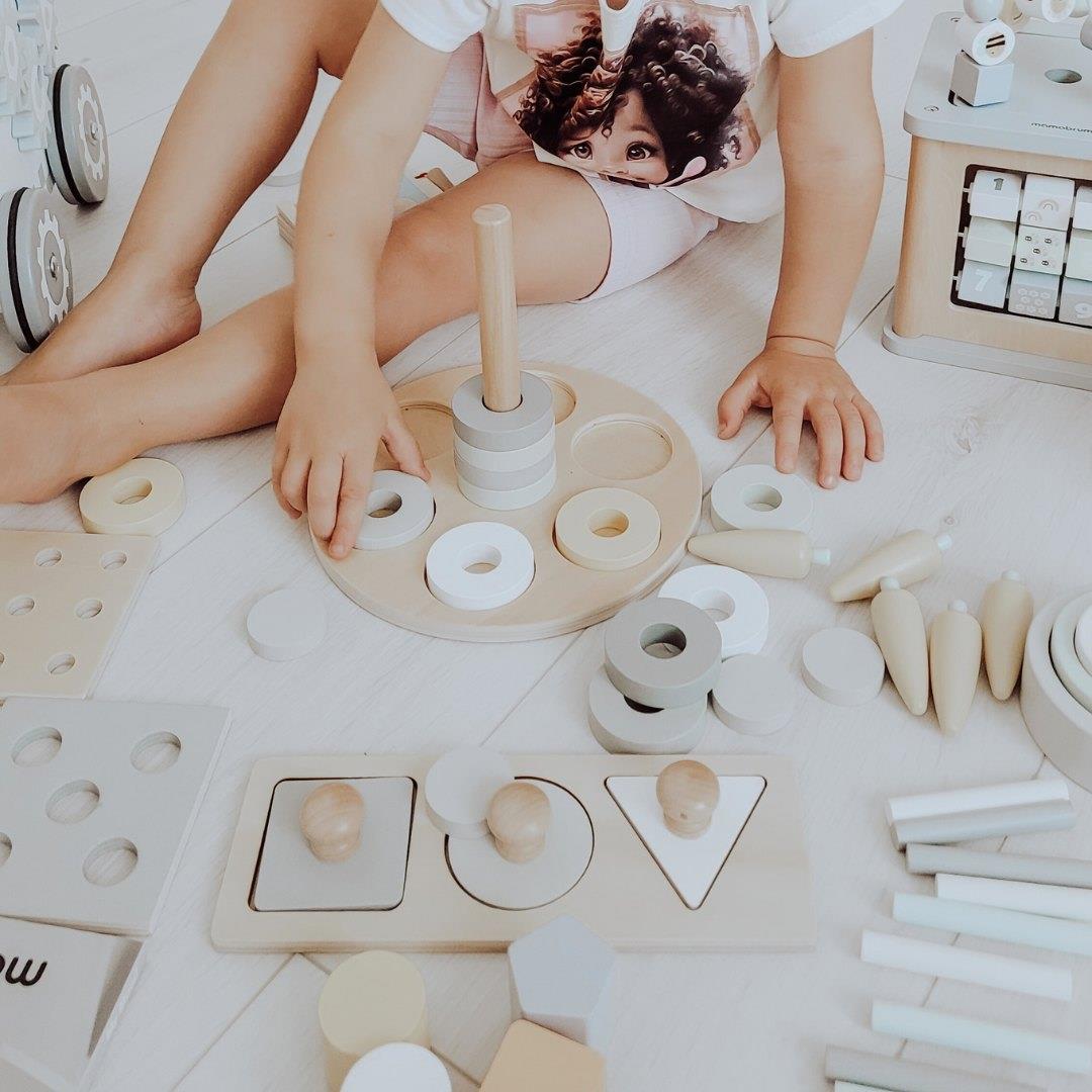 Montessori õppekast väikelastele - 6 mänguasja