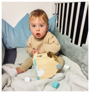 Sorter - hariduslik puidust maja klotsidega