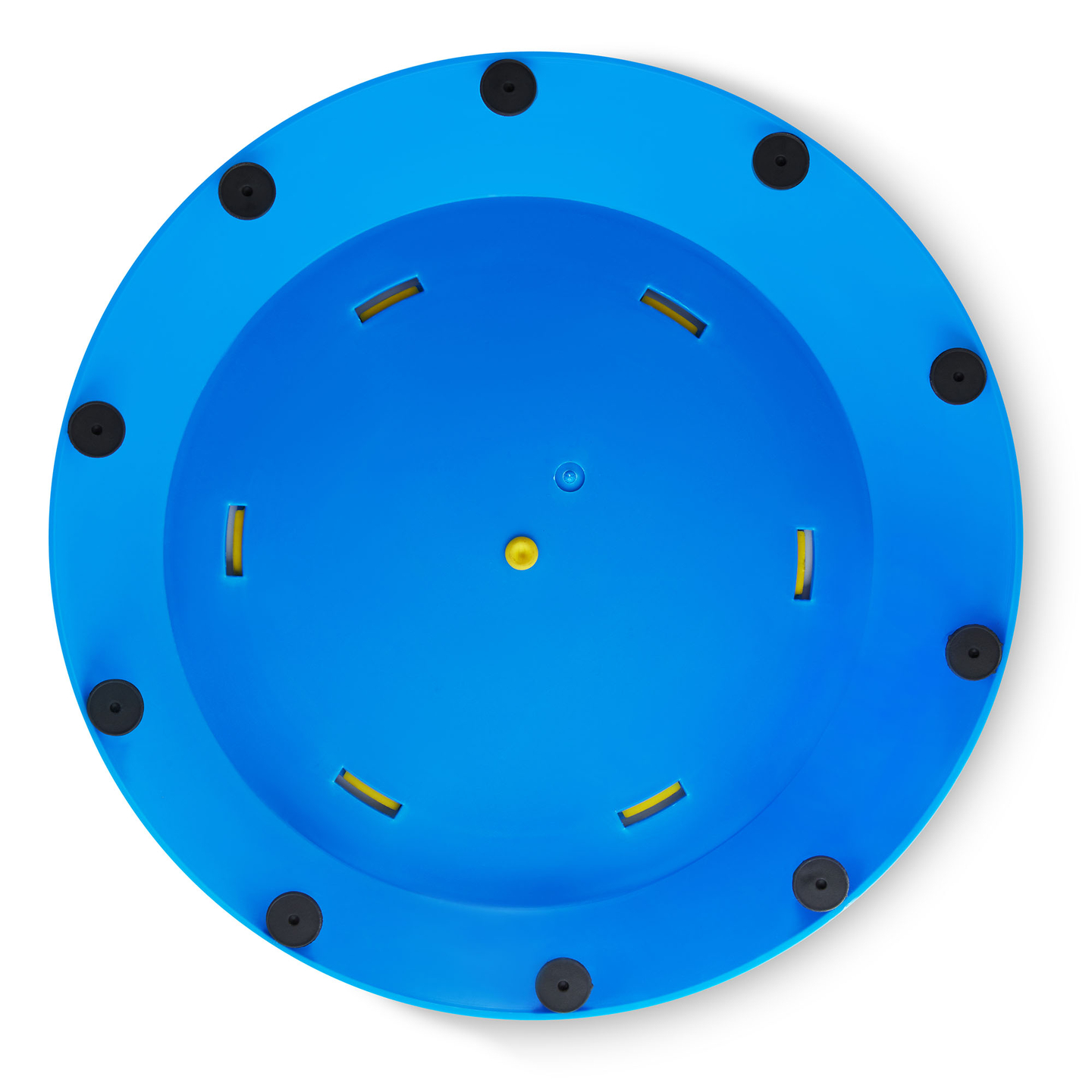 Sensoorne rada lastele - värviline kilpkonn