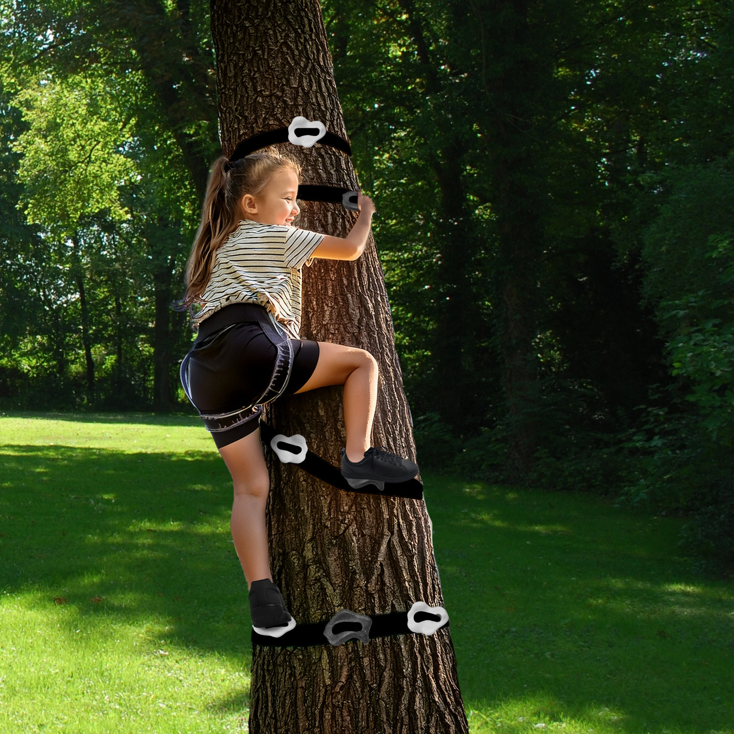 HyperMotion puu ronimise komplekt - 18 toodet