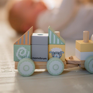 Puidust rong koos klotsidega poisile - Talu